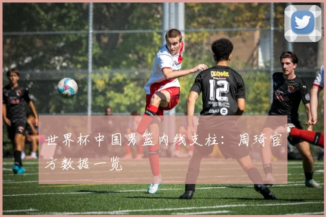 世界杯中国男篮内线支柱：周琦官方数据一览
